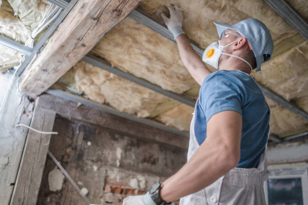  St Louis, MI Insulation Contractor Pros